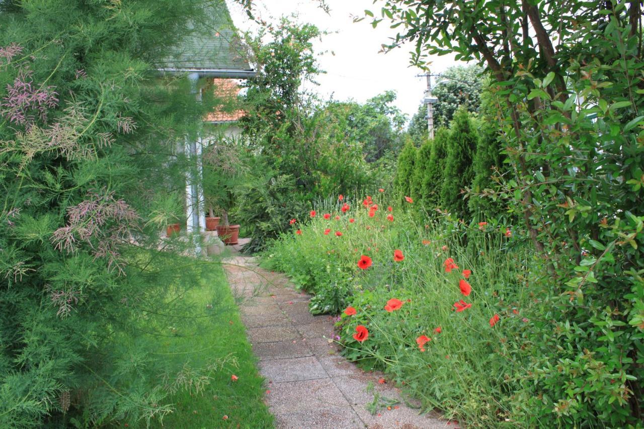 Boulevard Garden House - Free And Save Parking In The Locked Yard Ćuprija Exteriér fotografie